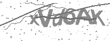 visual captcha